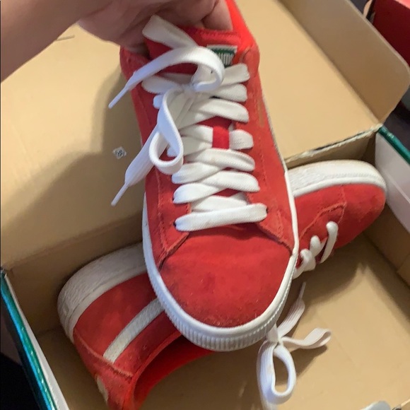 Pumas - Picture 2 of 3